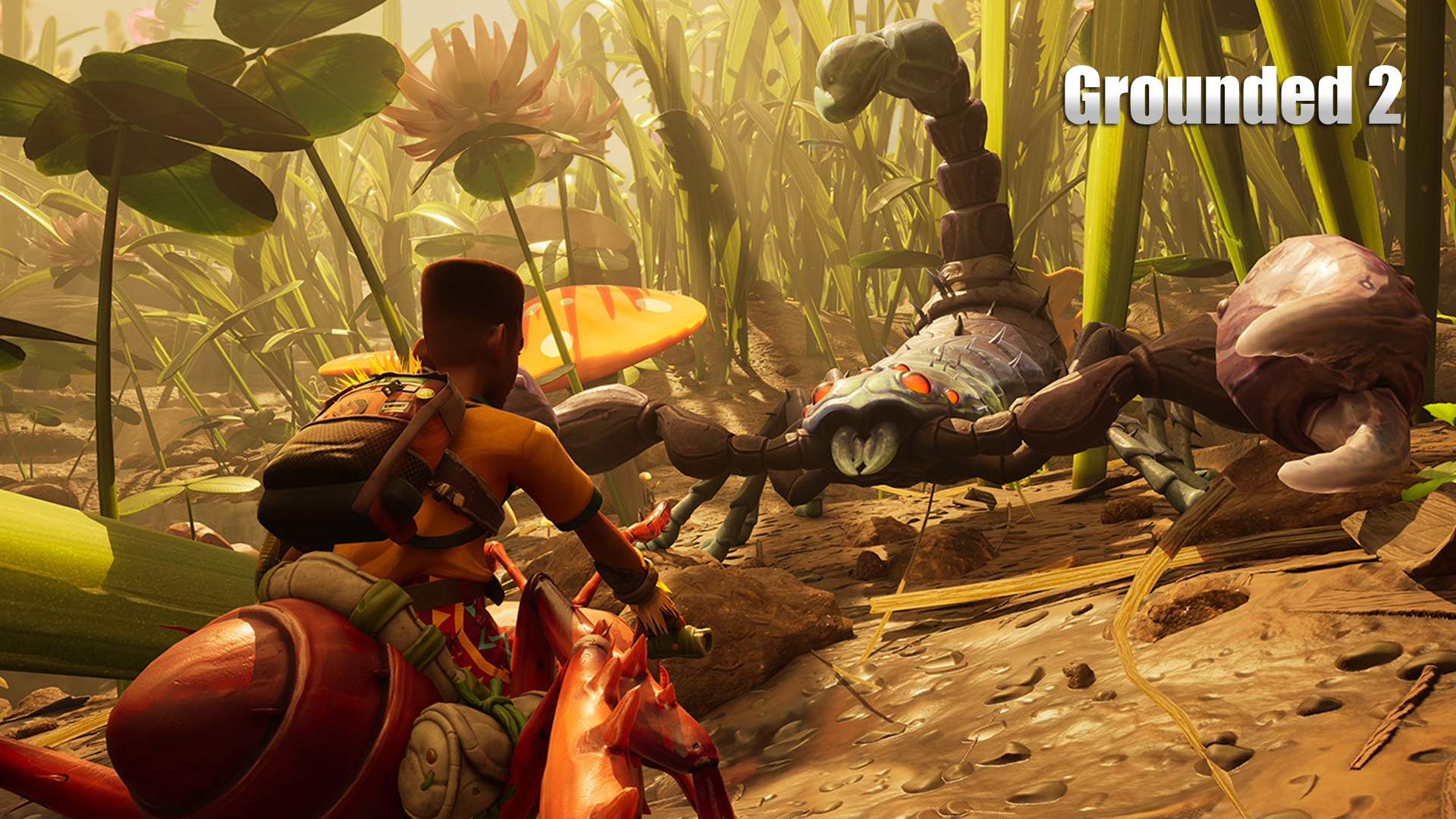 grounded-2